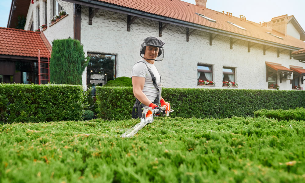 Hedge Trimming Cirencester Gloucestershire Wiltshire Hedge Trimming Cirencester Gloucestershire Wiltshire