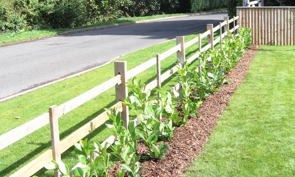 Tree Planting Cirencester Gloucestershire Wiltshire