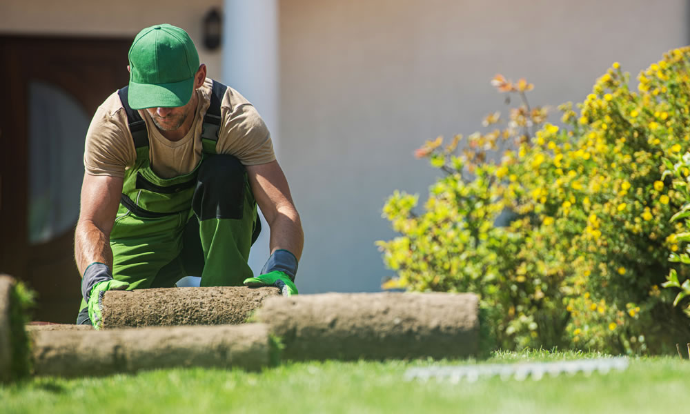 Turfing Services Cirencester Gloucestershire Wiltshire Turfing Services Cirencester Gloucestershire Wiltshire